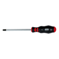 Fotografia e Kaçavidë ZEBRA, TORX 8x60.
