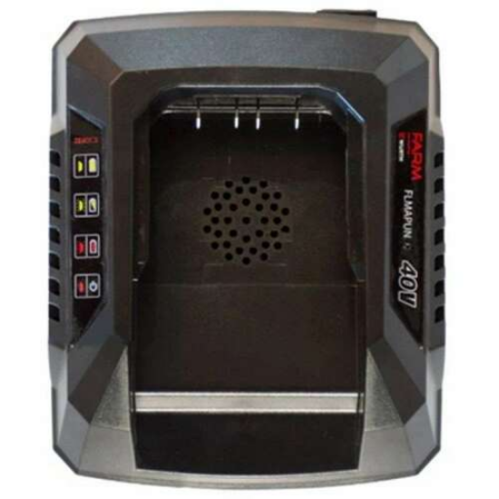 Слика на  Полнач за акумулатор FARM 40V, 5A