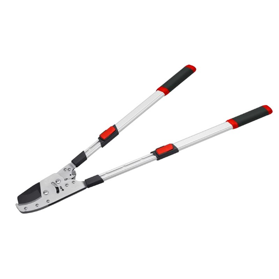 Слика на Ножици за гранки со наковална, телескопска рачка